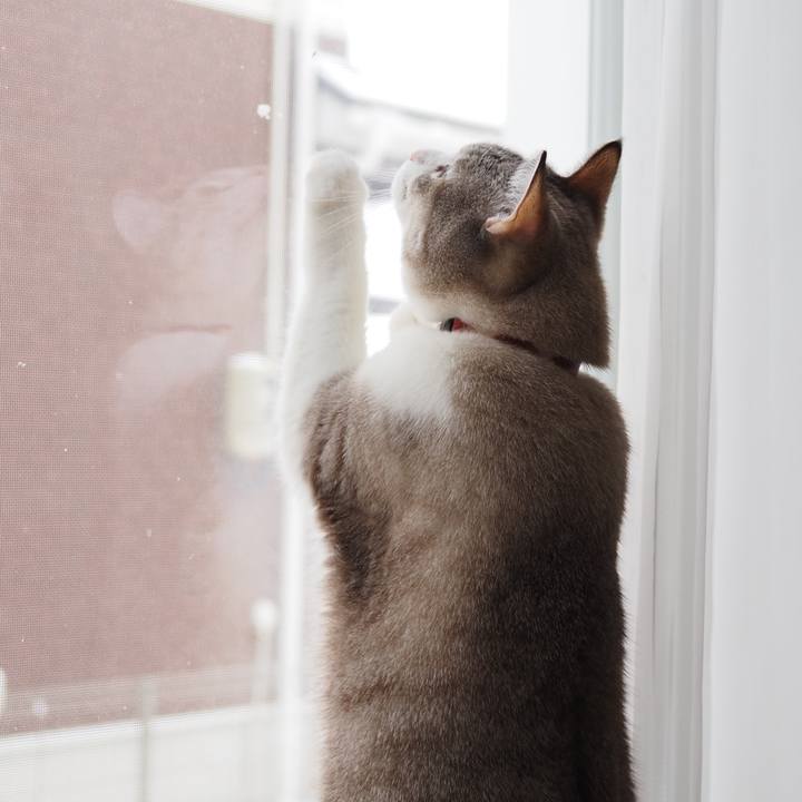 302d30c8 6c5b 480d 8cbd 12fe395cee8d 1609473989094