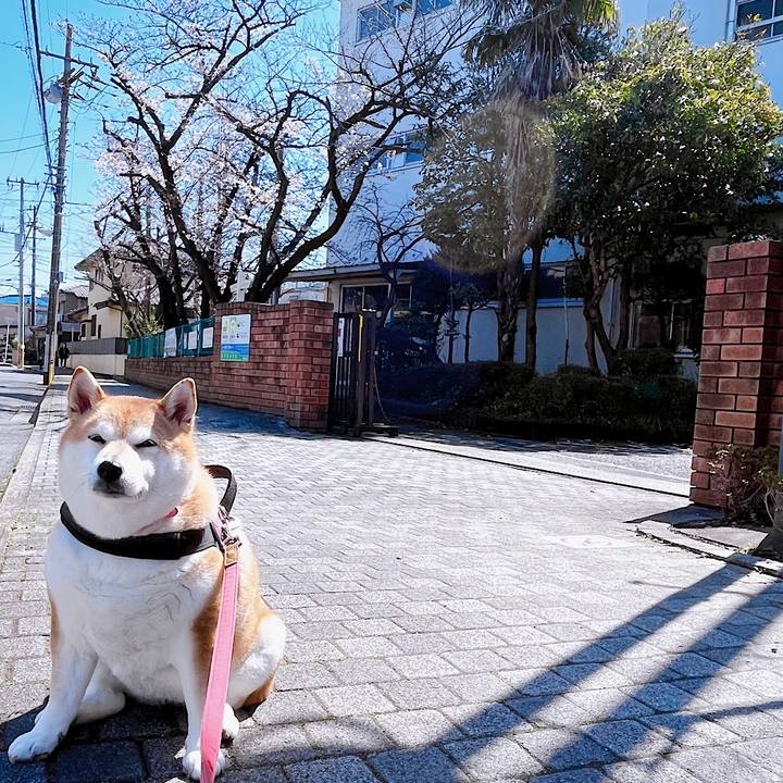 302d5870 4e65 4a6c bc6f 171e257276c3 1679193690402