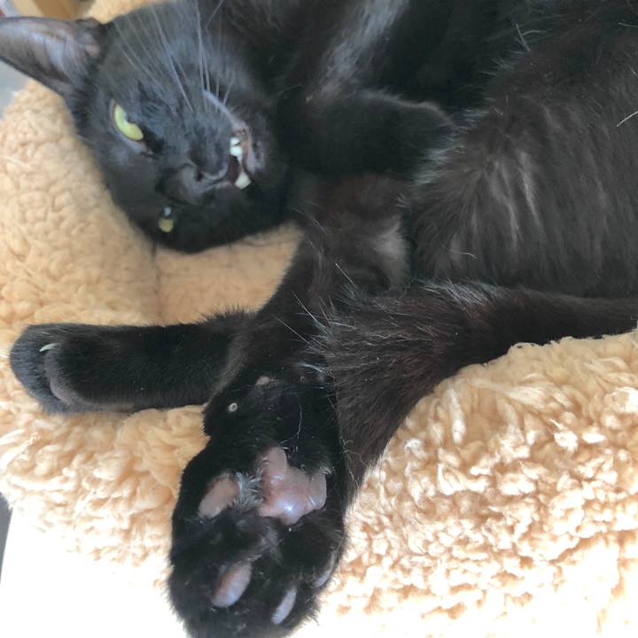 302da1ce 0b35 4e50 9b27 eddca3912822 1531224118134