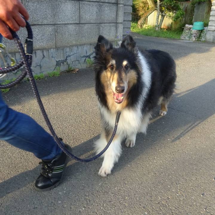 302da68c cf4e 4ce5 baab a1944e6d9d15 1591618659554