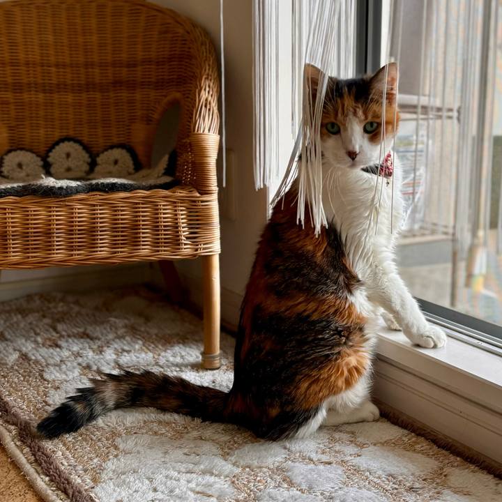 302daf30 1f0d 4c10 8588 1703539fd184 1717242821860