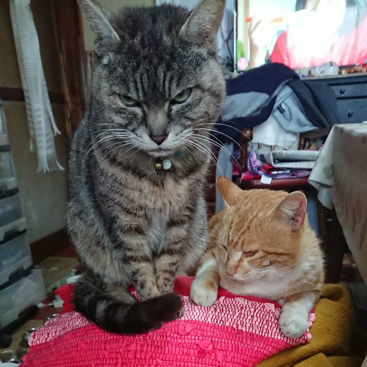 302e2bd6 4d89 4322 bf46 73b2d1d70ff9 1555024584022