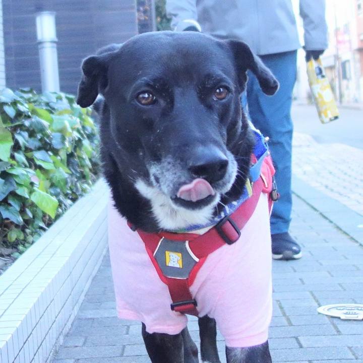 302e2c80 7f41 48b2 8daf 1d10fb92642f 1672016622609