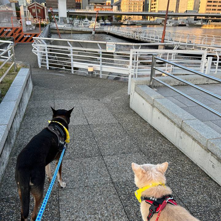 302e43d5 3f03 4053 bd2b e0ecfbc3309c 1731423203431