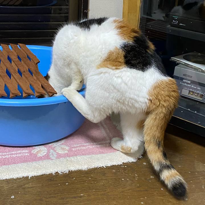 302e5ab9 2620 4ded ae15 f0401640cd7a 1632585433154