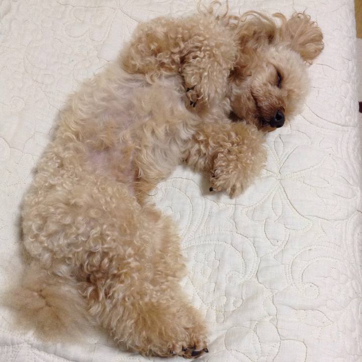 302e93e1 2b6f 4866 b113 e9b031cd3d6a 1527474676397