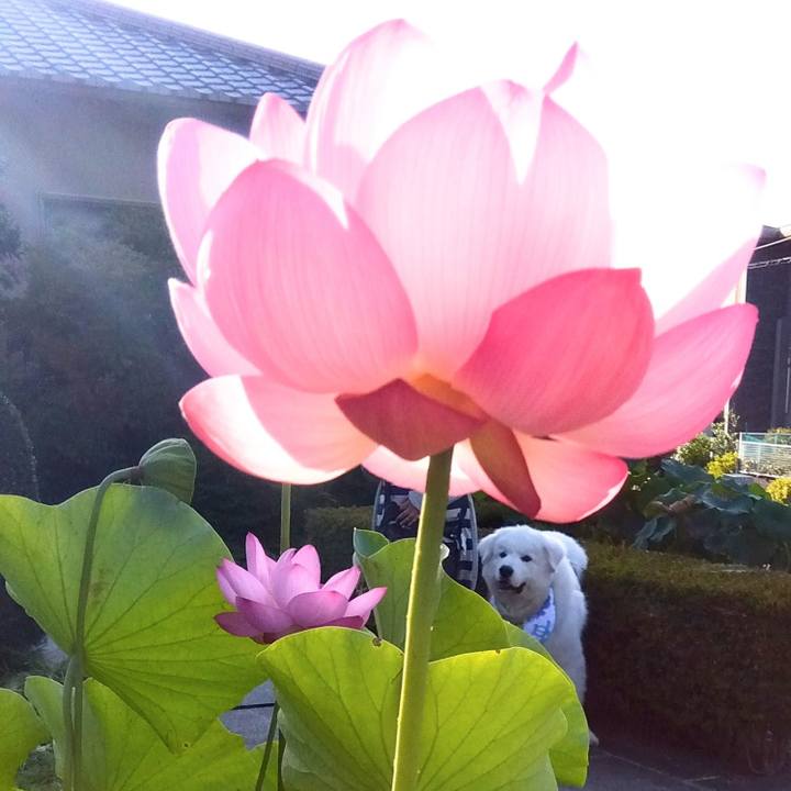 302e9e26 cfda 43d5 a755 cd0c0401f7ac 1689461300791