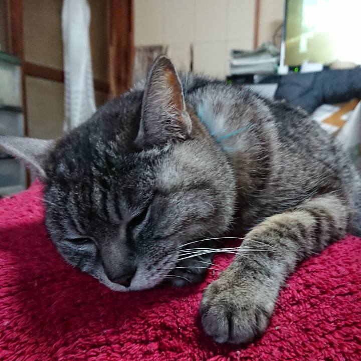 302ea6b8 ff29 494b a895 0dc16489ce3d 1550959457774