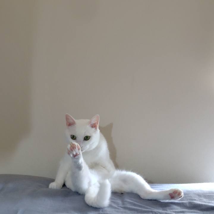 302f0a04 3a99 4ad1 b570 431fb57c15ce 1757154361145