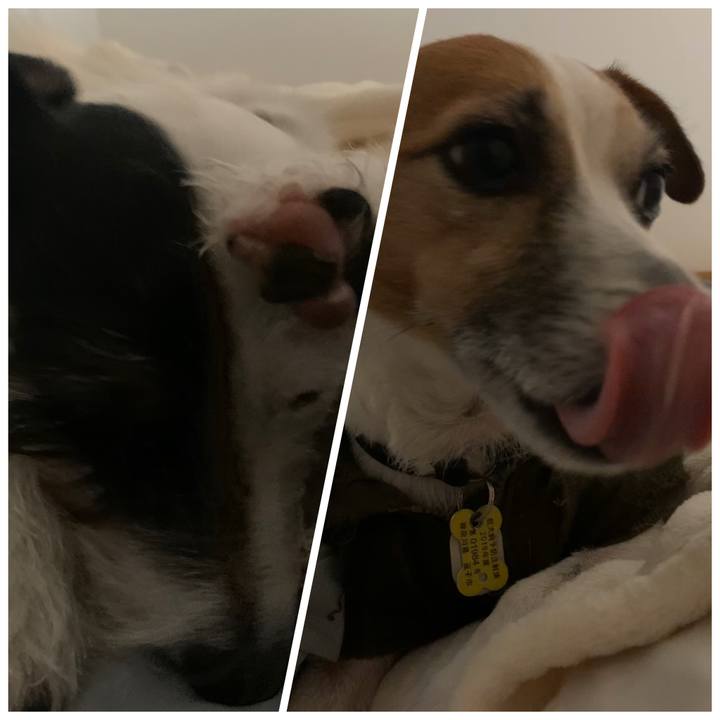 302f1c26 30f3 4f4d 95ad 9f785ecf0404 1574079439617