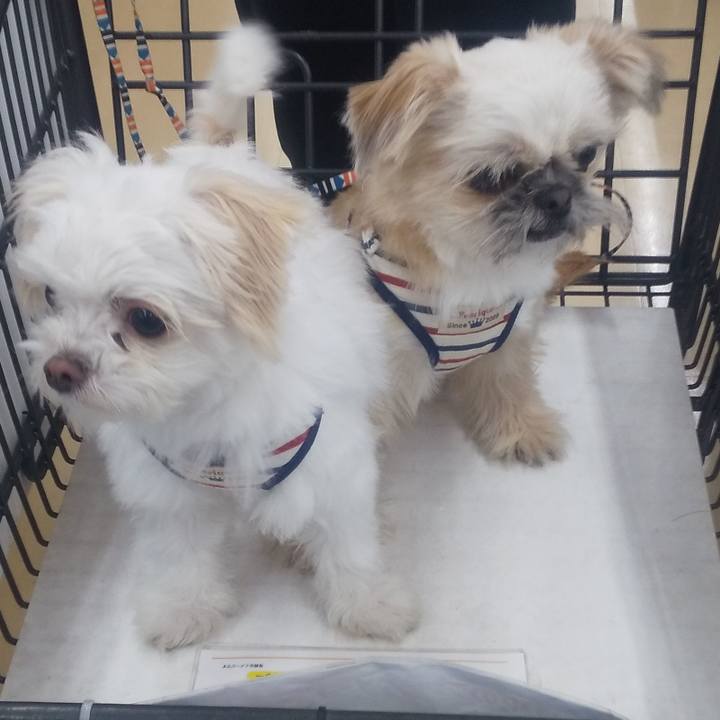 302f1ea1 00ad 411c ae14 bdf164b87aba 1704548068883