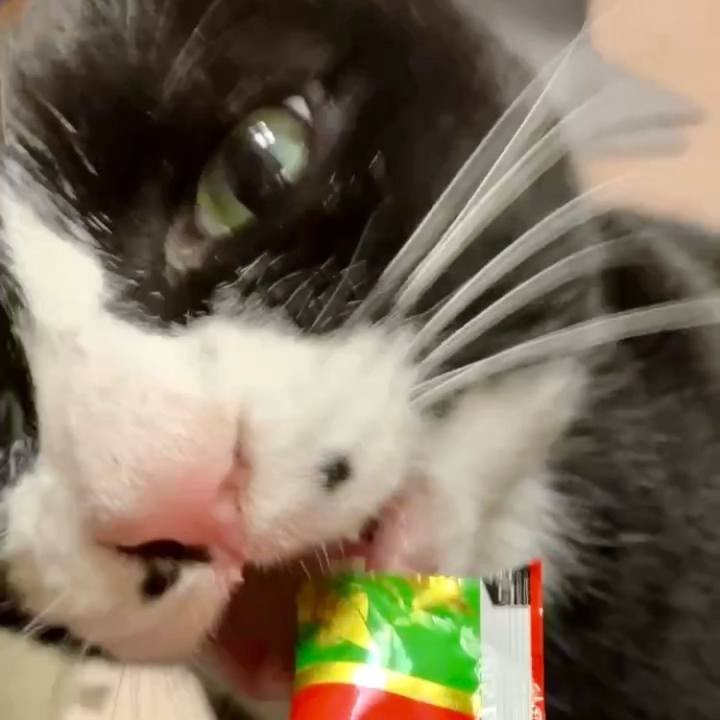 302f2c7b 580a 46aa 98ad 769da0c42e73 1743386160878