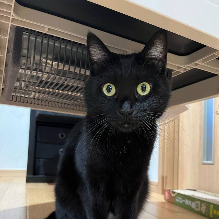 302f8e07 4e5f 443e a9f4 0c353afe3274 1637972268194