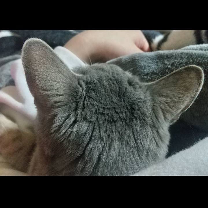 302f989b abde 431e a8ff b24547559215 1648744175375