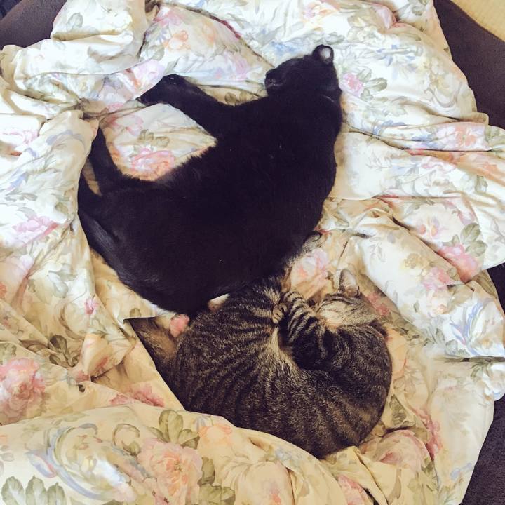 302fbcaa 750c 4c23 bd83 060c5e6a708c 1523763875824