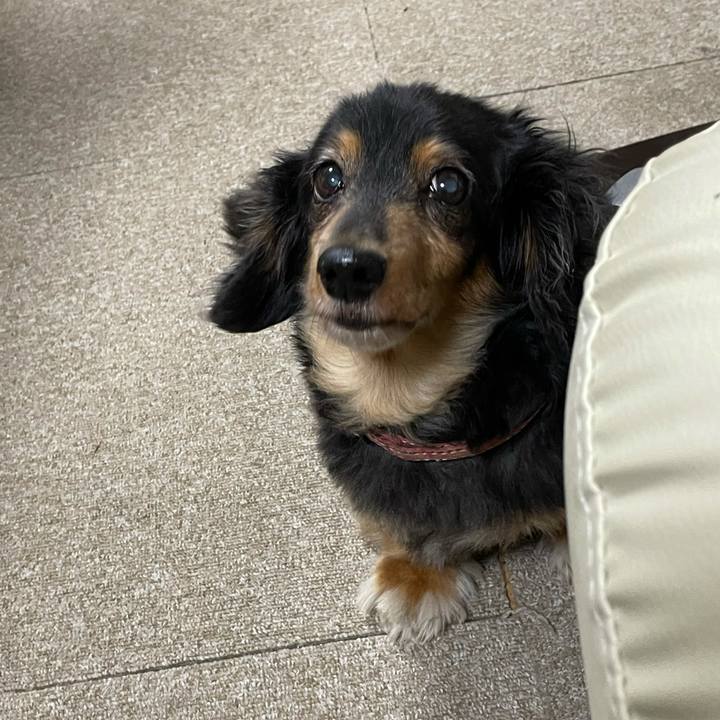 302fe2a0 442e 464e a0b1 c9f71b762321 1636582678282