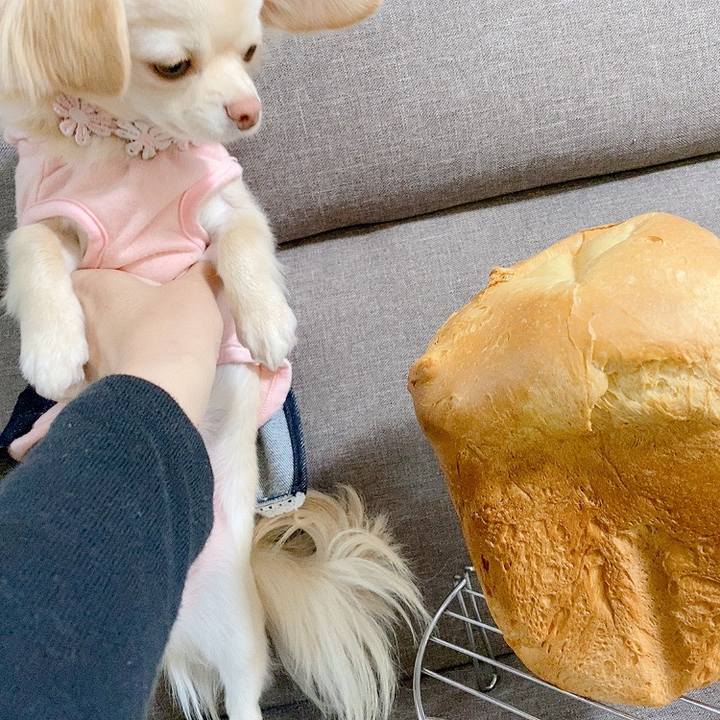 302ff740 fe50 4e32 9174 6d1081469a48 1615189380869