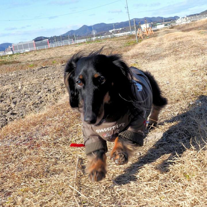 303029bd 4a17 4918 819a f42ac6d9044d 1581230822253