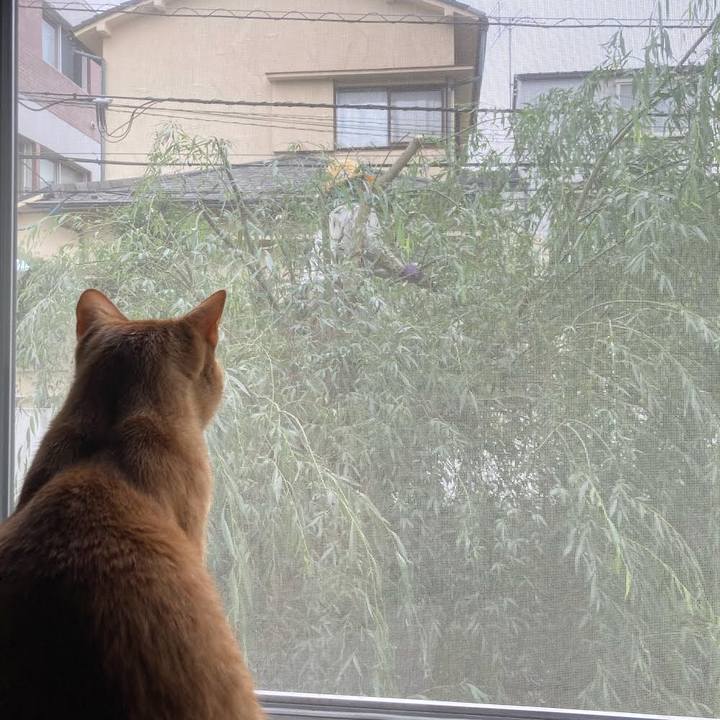 30302b6b 7b29 4837 b77b b98cc7765036 1621721341947