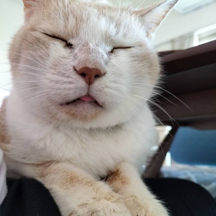 30303404 4e18 4629 9ebb 08570468a047 1697580377225