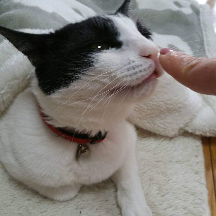 3030c35c e58b 4373 abae d836b991a745 1576196748775