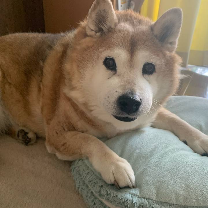 3030cc3a 80b6 4852 904a 0909154616e5 1615687081226