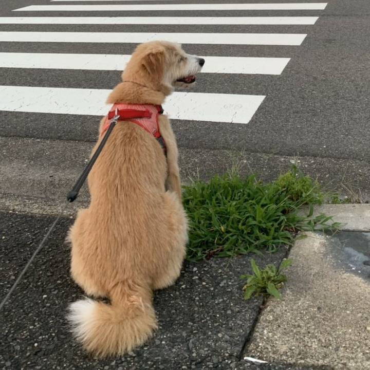 3030ce04 f1c2 4fd7 b0f4 5a165fbaa207 1564533413543