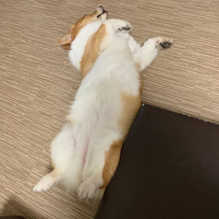 3030cea1 ea0c 438e 8d44 9345c9b17772 1590976948673