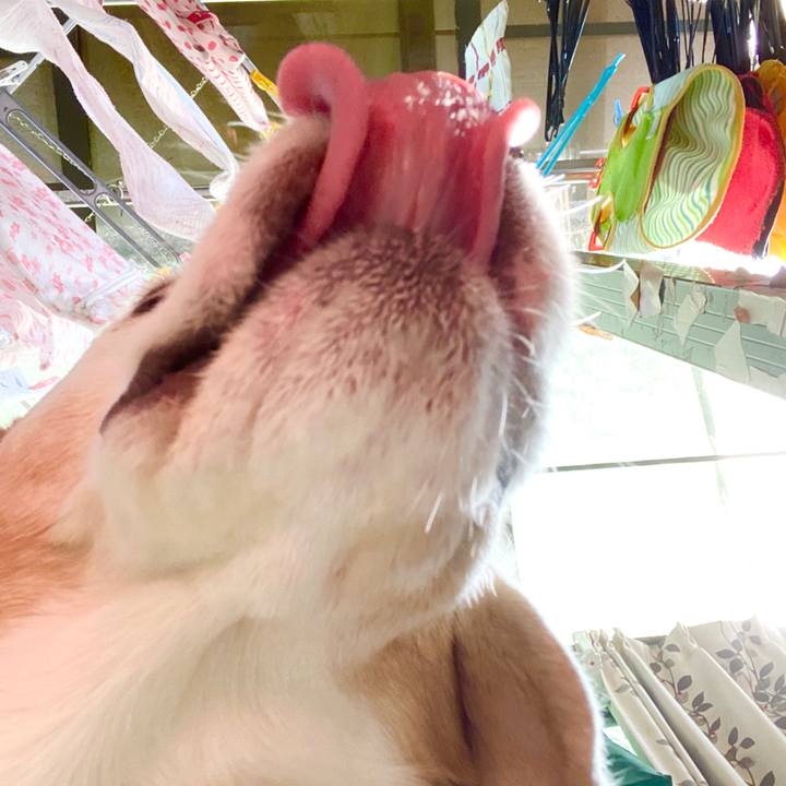 3030d34c 55fe 452b 8247 8a7e79b22563 1588225096118