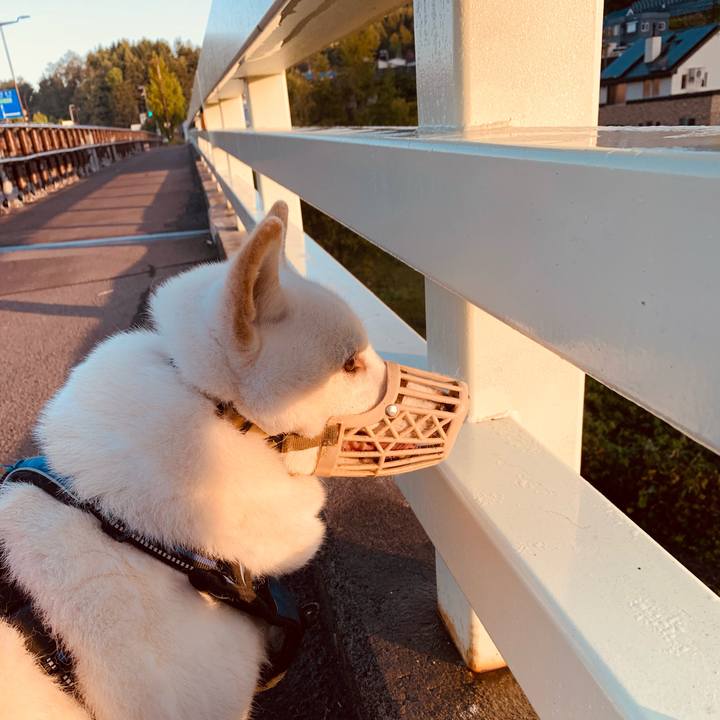 3030da65 63b6 438f b96c 5db2cbf6ddab 1633041204581