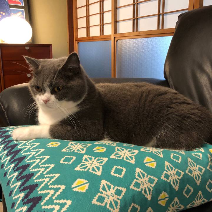 3031052e cca9 4d84 871f 83c4c87c9eb6 1565855113148