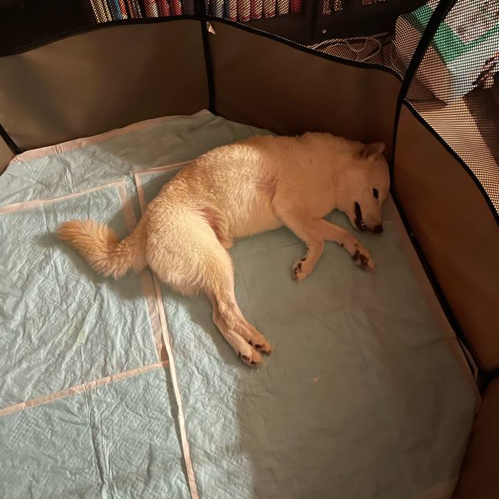 303114a7 908f 4cb0 bc59 2183e6380414 1658940834420