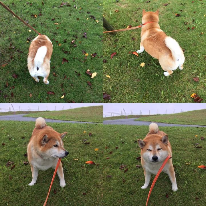 30314c42 87b6 4a20 a276 614f45070546 1600996848946