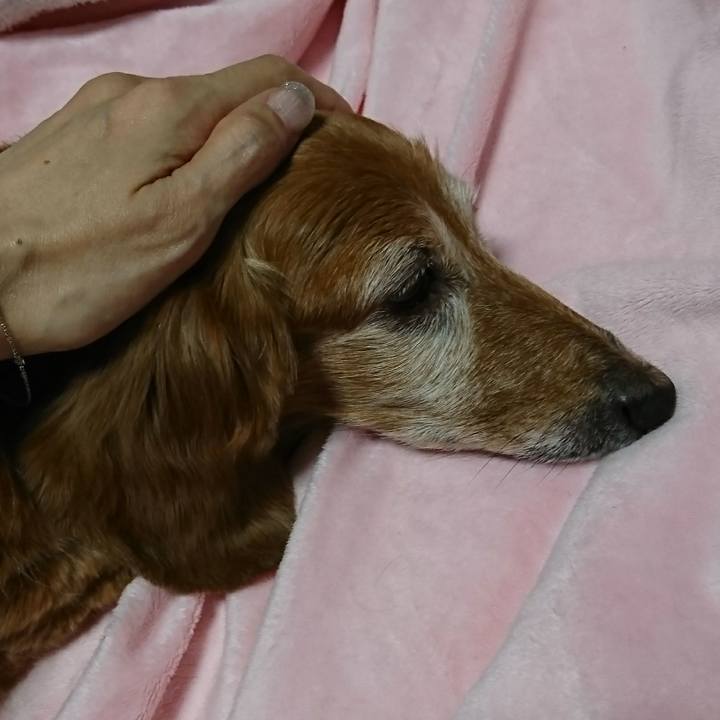 30315487 8db8 49b3 b512 178fe3557f8c 1508660212493