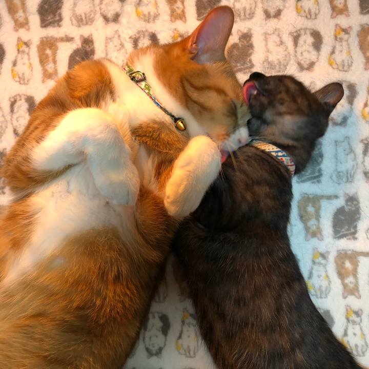 30316b42 57d1 4022 afcd 2e6dbcfea580 1612367474206