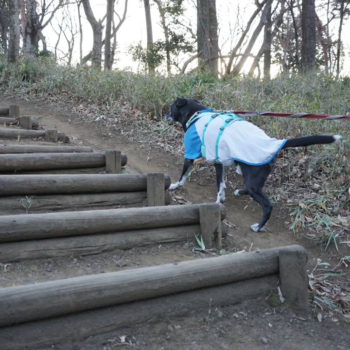 3031af64 dd7f 401e 940b 255fa26eea04 1769387501372