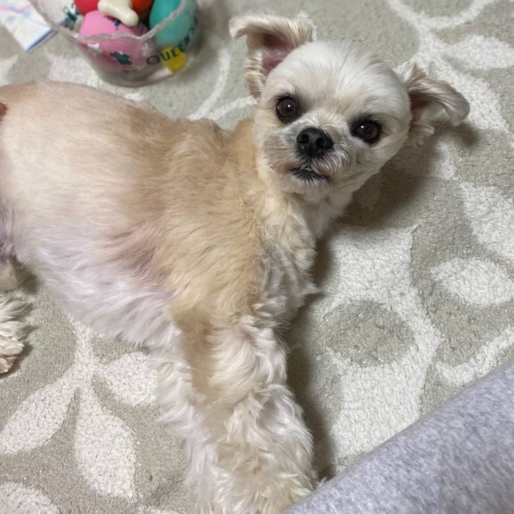 3031df71 bc2b 4e88 9985 c7a9b76763a9 1581683584223