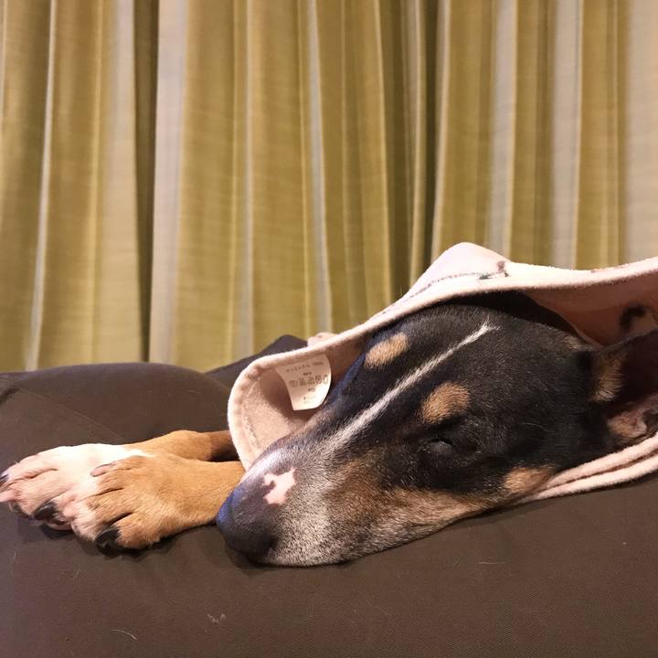 3031ef8e 9671 4897 82d9 6ba039435640 1523974842213