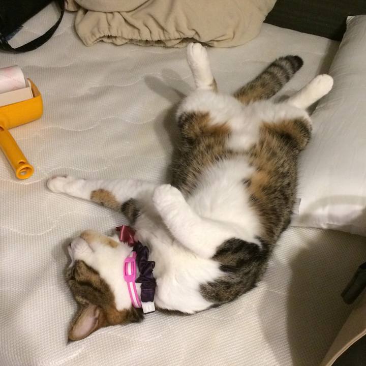 3031f0b5 f968 4cac 9c00 068593faff27 1534765100922