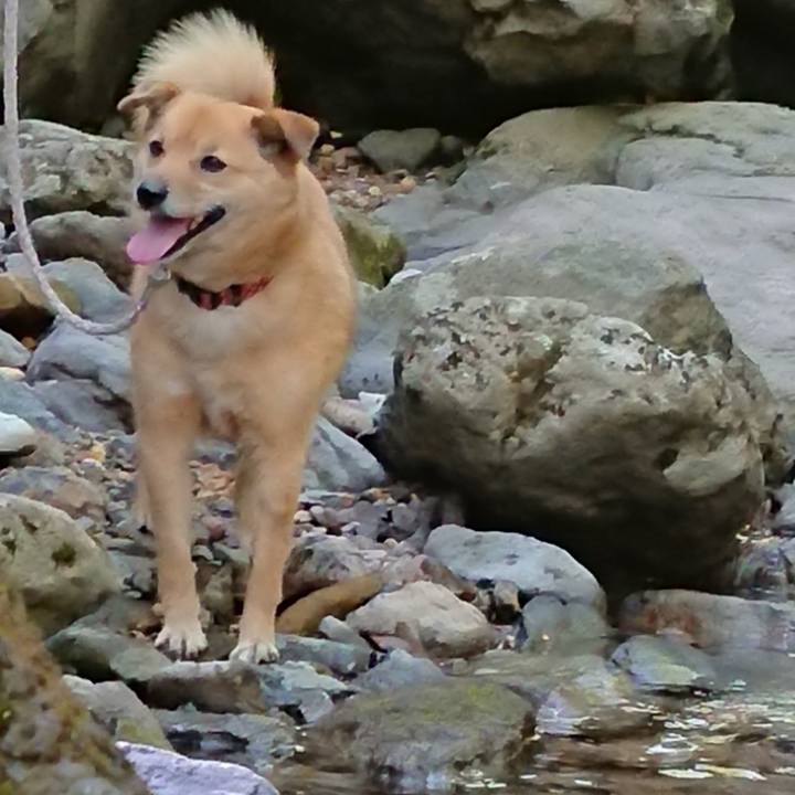 303231b9 9574 44d1 8f32 8b14cd426a5f 1591015112836