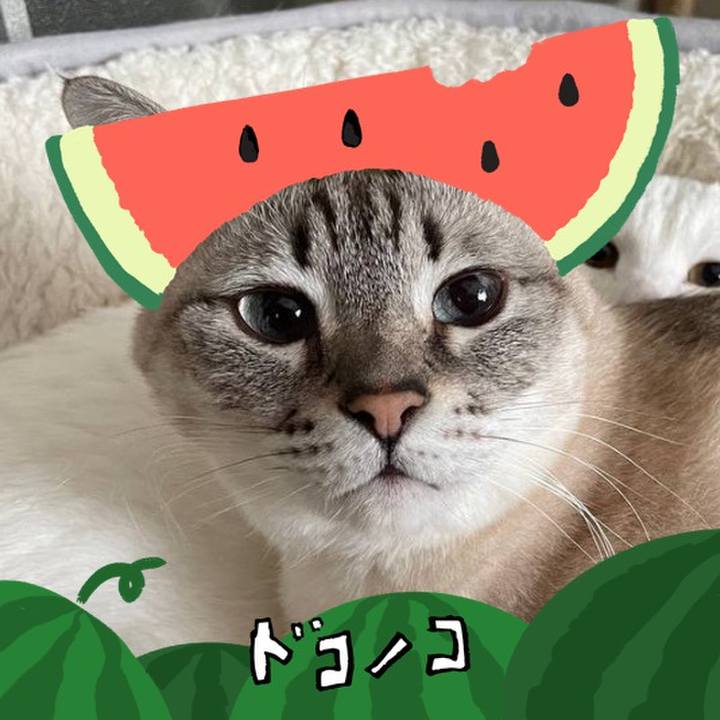 30326480 3632 45ef b3f5 661b593d37a1 1720787837885