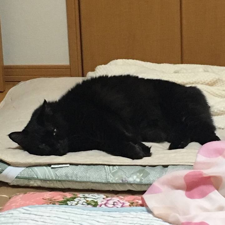 30327093 27d9 4dc1 863f 1706e69074fc 1537277916248