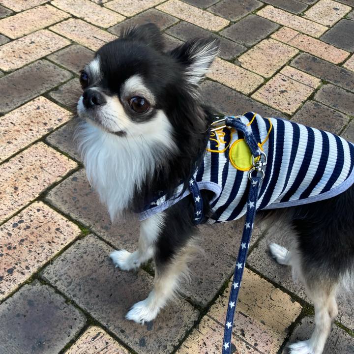 30327b5a 2060 49ee af7f ca8750fd06cb 1654317084890