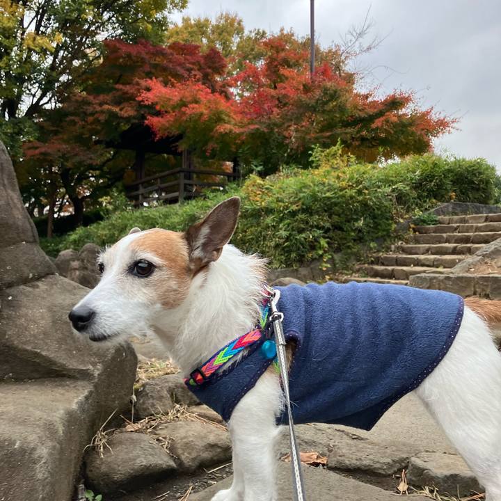 30328527 f8d4 4486 b64d bec8a56e451e 1669504501507