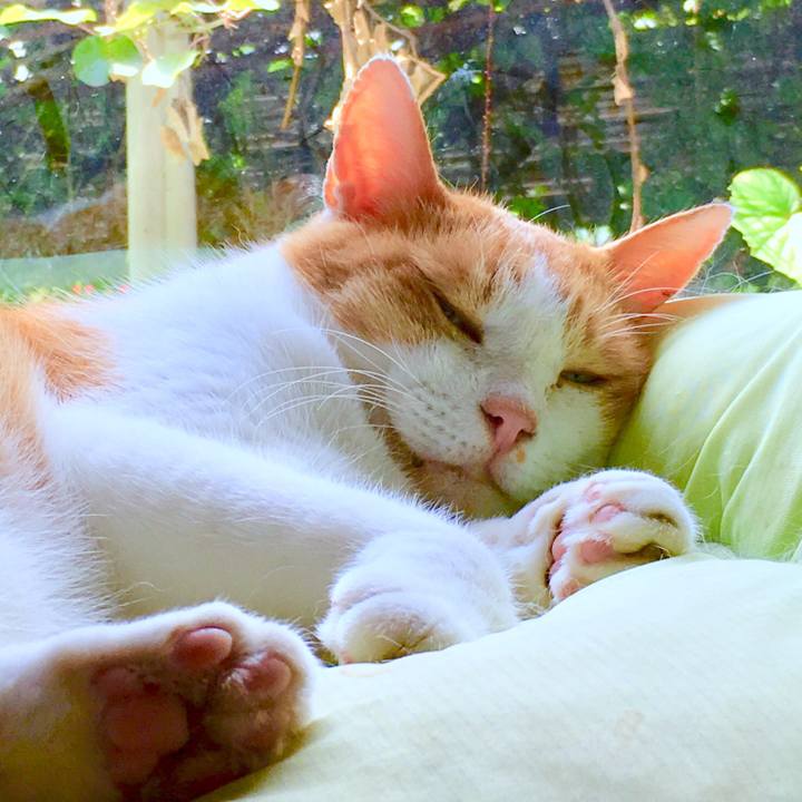 30328ad1 4c01 41c7 b3d7 b4bf7b1dac91 1565838367124