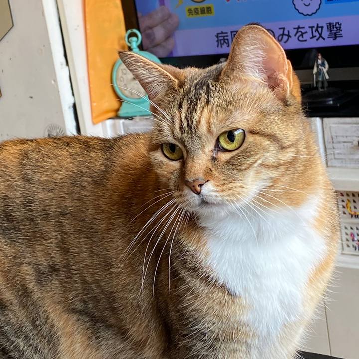 30329468 9556 47fb b463 9a4beb2e6b52 1587697927408