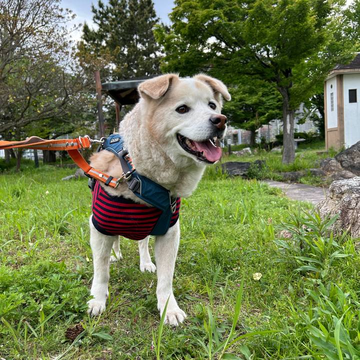 30329d02 a3af 4e8d 9fcf 1befa4d14b9c 1713613126332