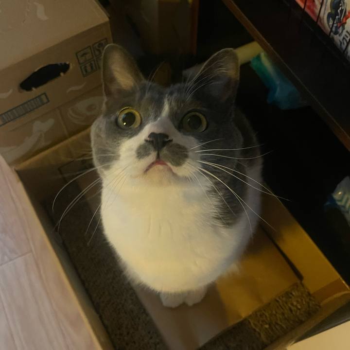 30329d66 9b54 404d ba97 ffa423435b37 1742597953086