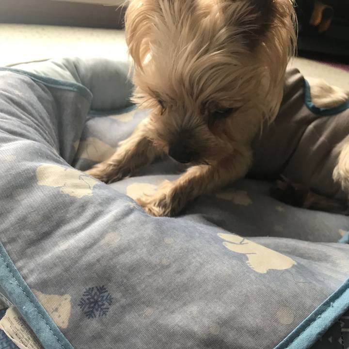 3032b12a b843 4d2b 9627 7e4180162186 1695117170058