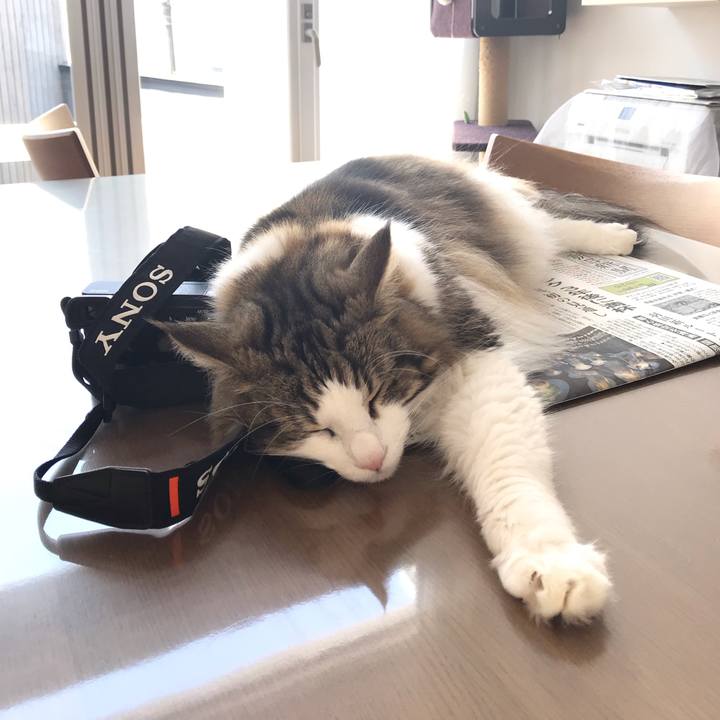 30332cef d6ef 4766 9131 17d4d6aea008 1565327157402